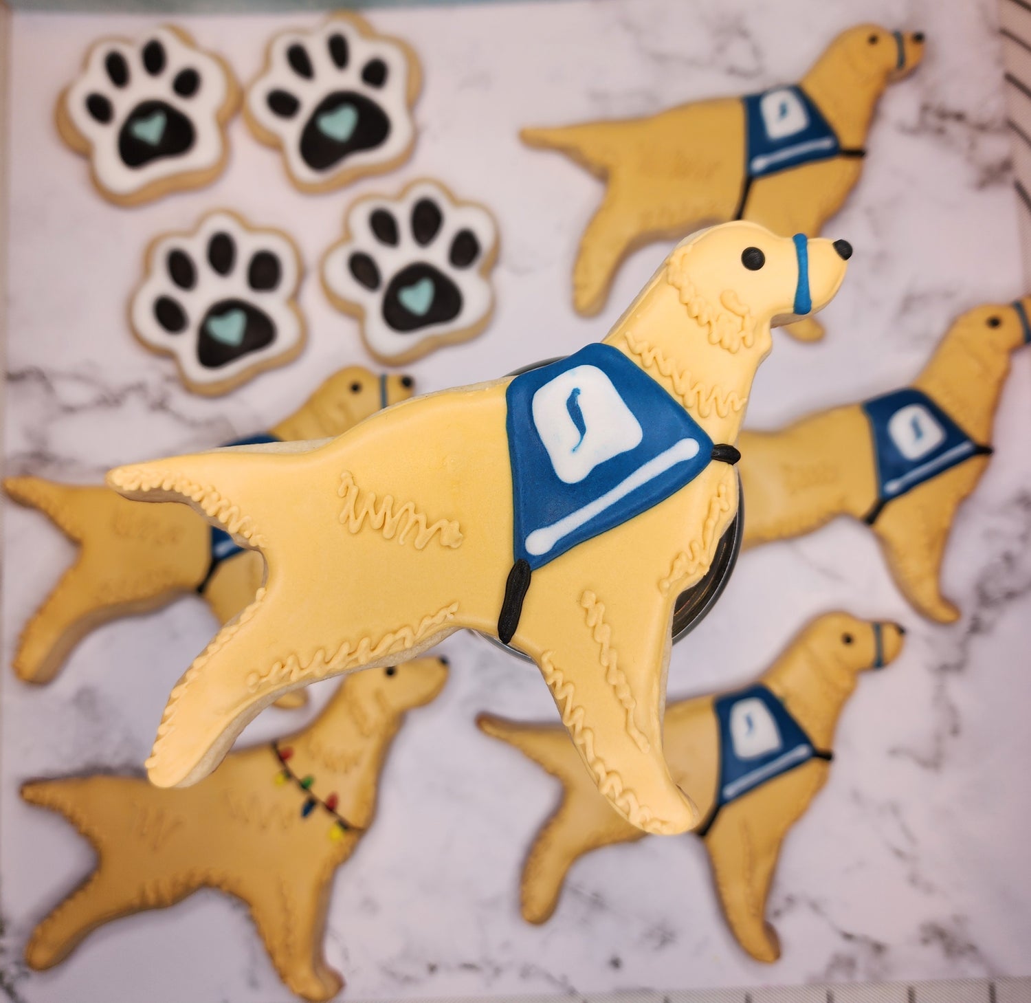 cookie decorated like a service dog